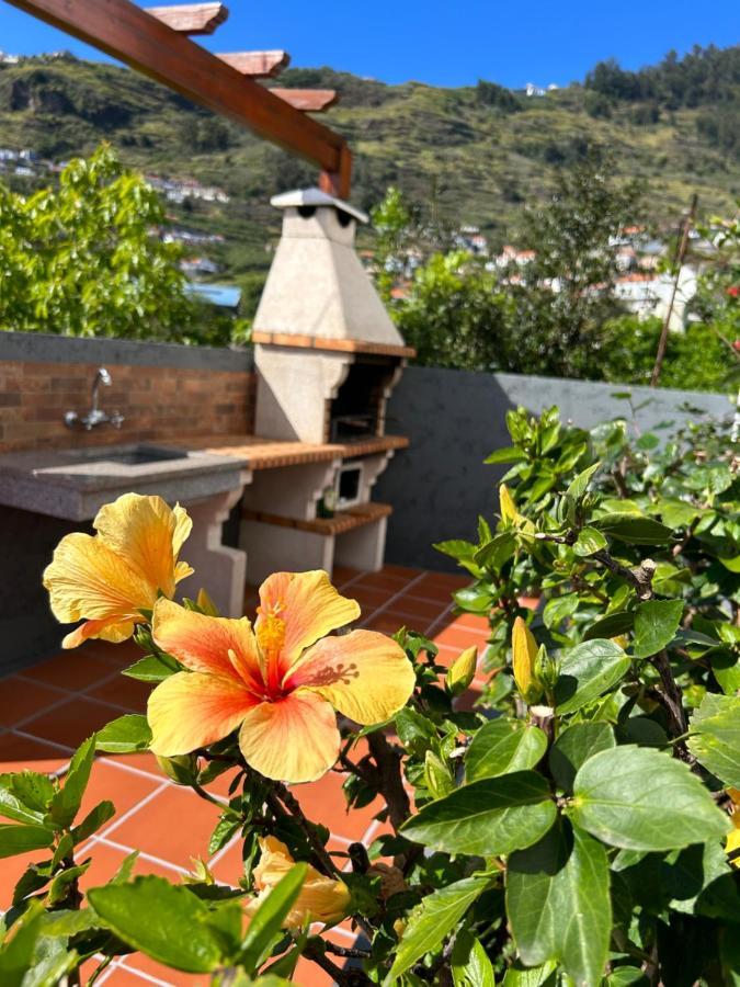 Villa Tropical Garden à Arco da Calheta  Extérieur photo