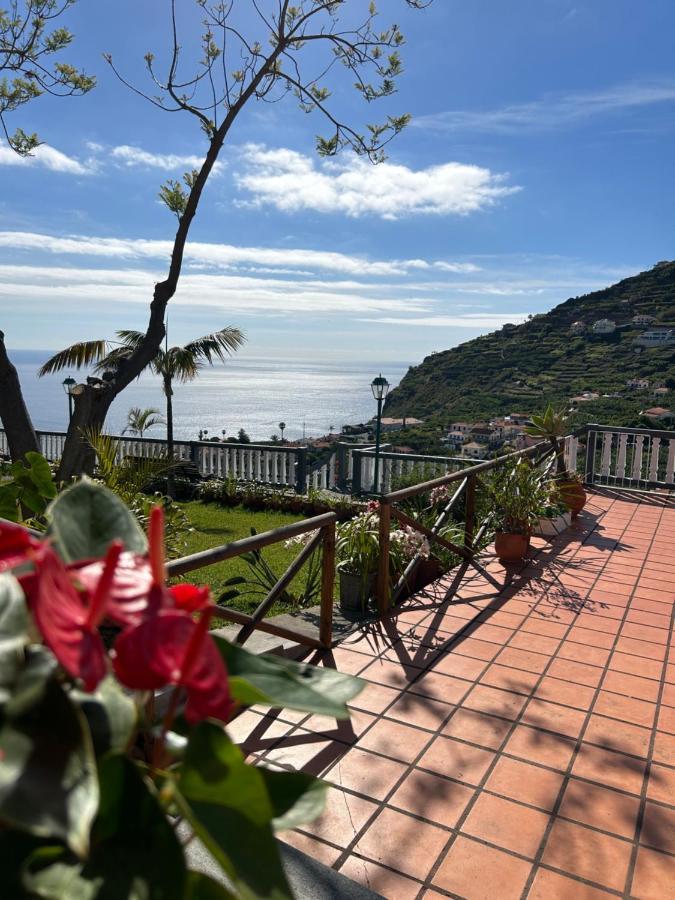 Villa Tropical Garden à Arco da Calheta  Extérieur photo